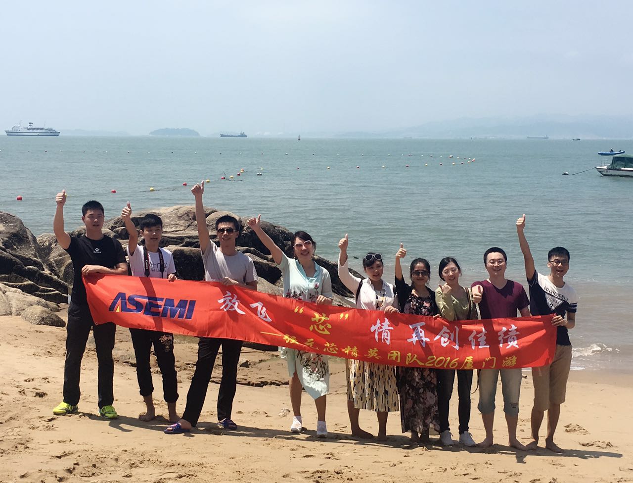ASEMI精英團隊廈門游，面朝大海，放飛“芯”情！