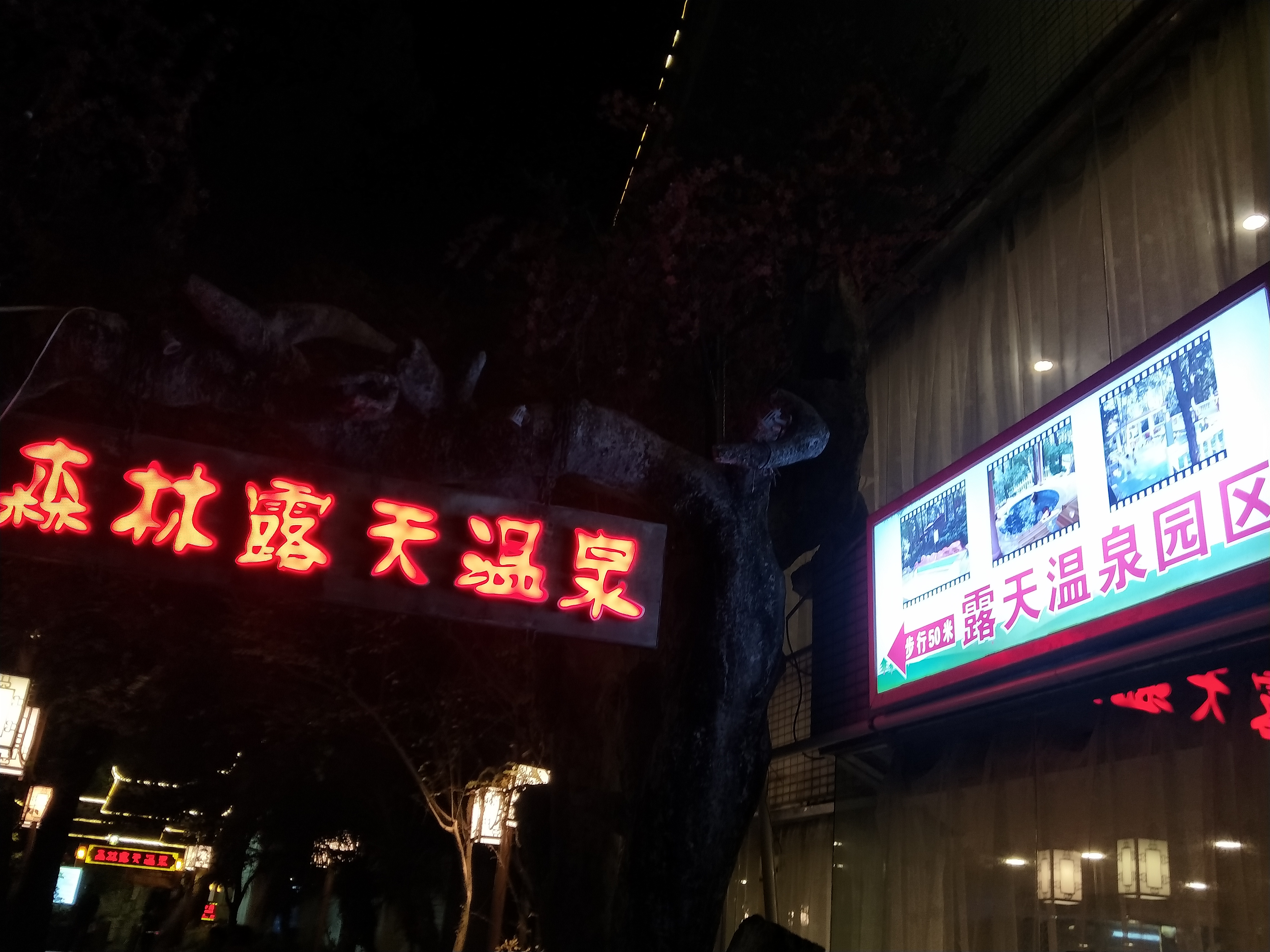ASEM強元芯團建清遠兩天一夜